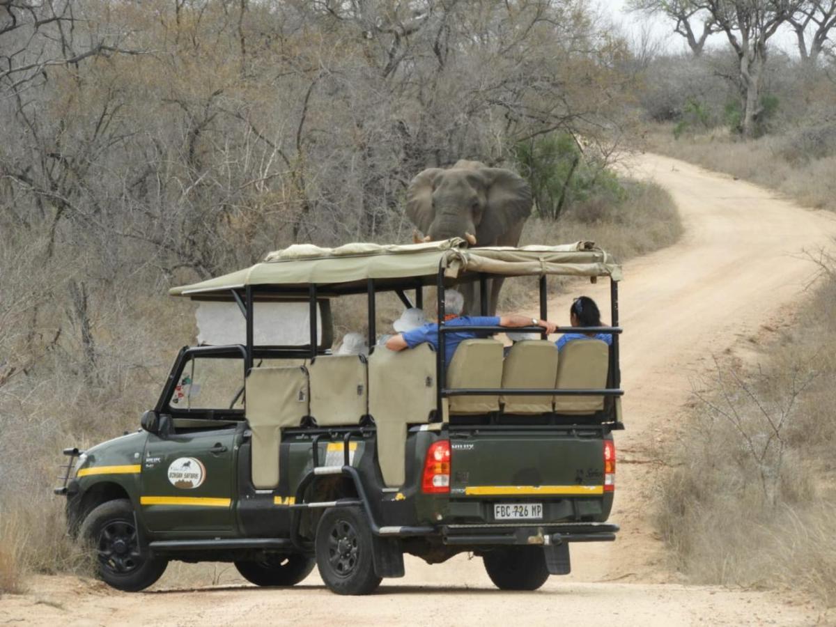 Bongan Safari Lodge Mbabat Exteriér fotografie