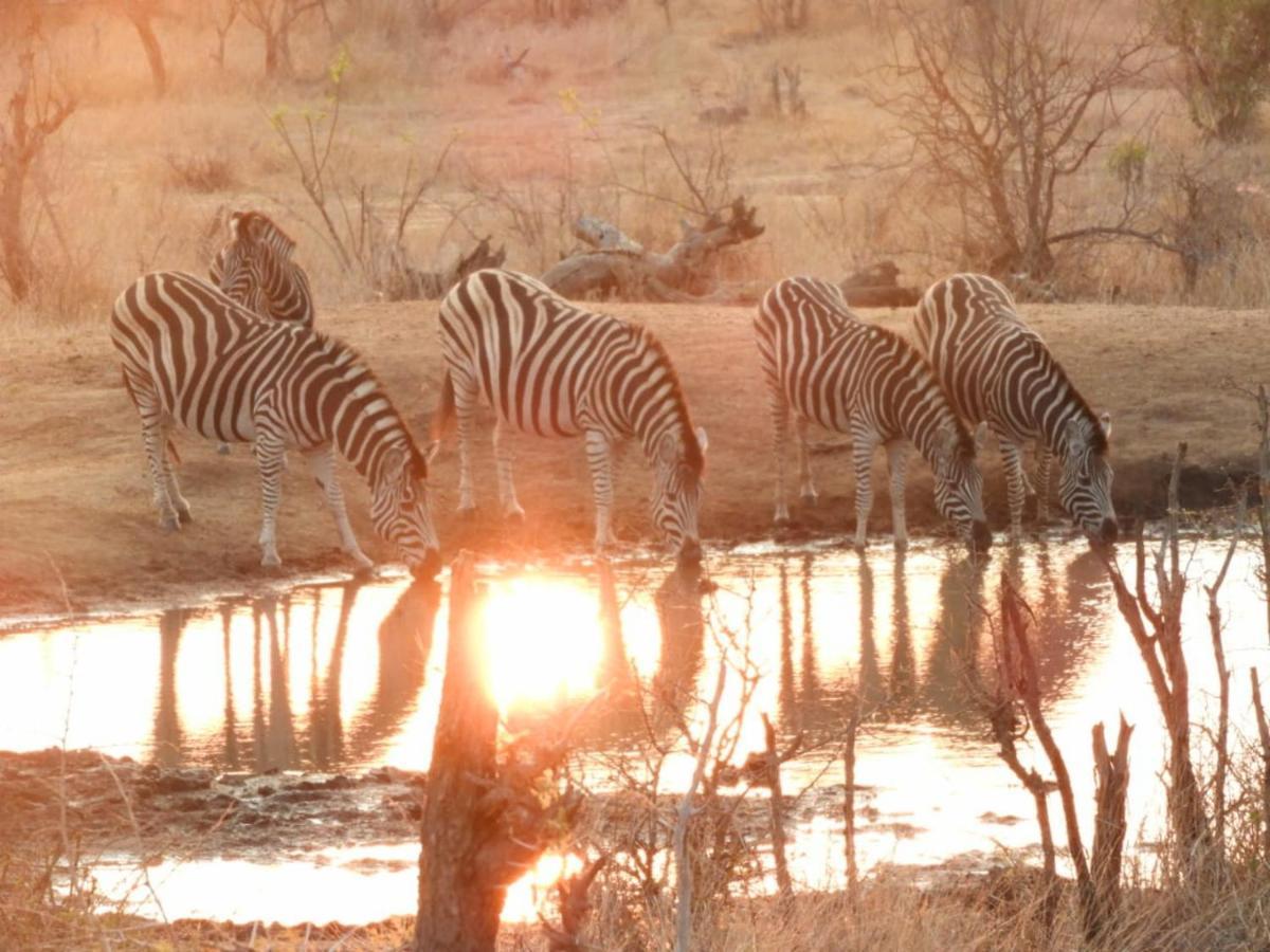 Bongan Safari Lodge Mbabat Exteriér fotografie